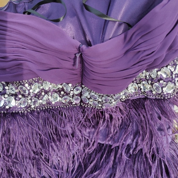 Beautiful feather and Rhinestone Dress - Picture 7 of 11